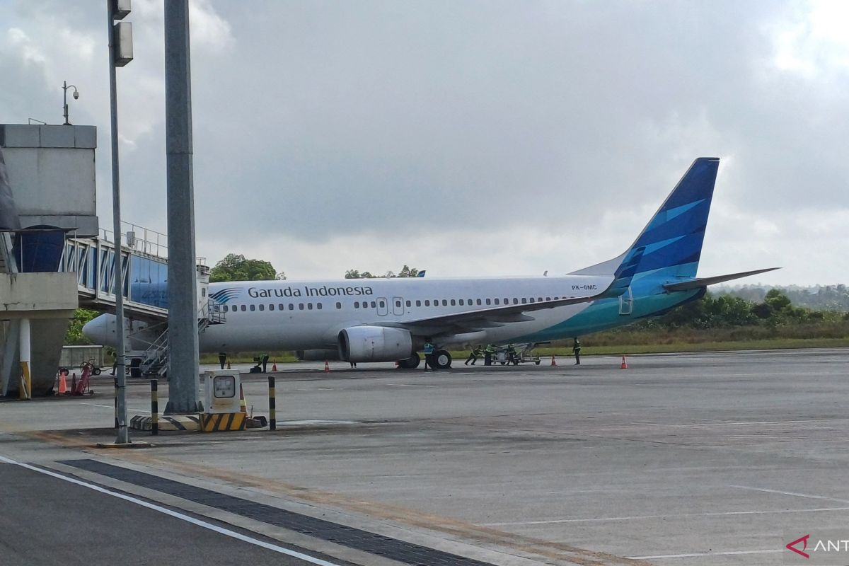 Wagub Nyanyang usul penambahan rute penerbangan di daerah perbatasan