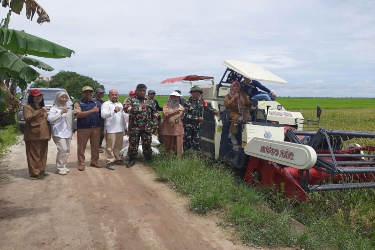 Bulog Kotim serap gabah hingga 12.000 ton