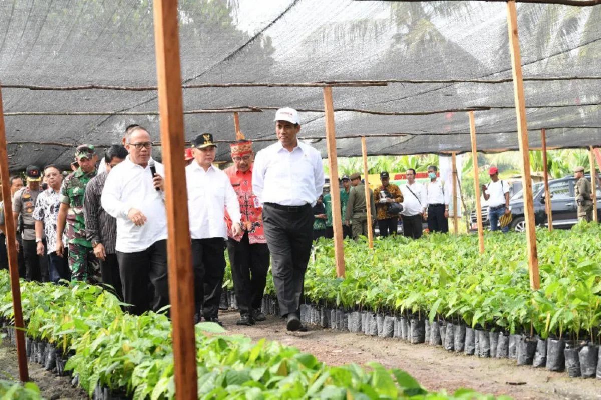 Kementan perkuat izin pengeluaran dan pemasukan benih tanaman