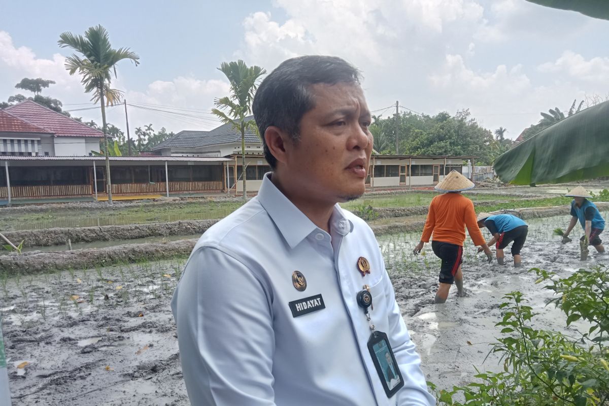 Asa dibalik jeruji besi lewat proyek asimilasi ketahanan pangan