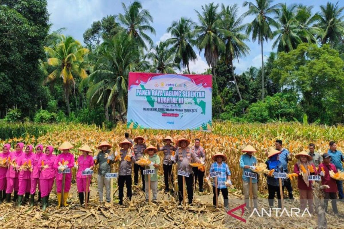Pemda Madina - Polres kolaborasi wujudkan swasembada pangan daerah