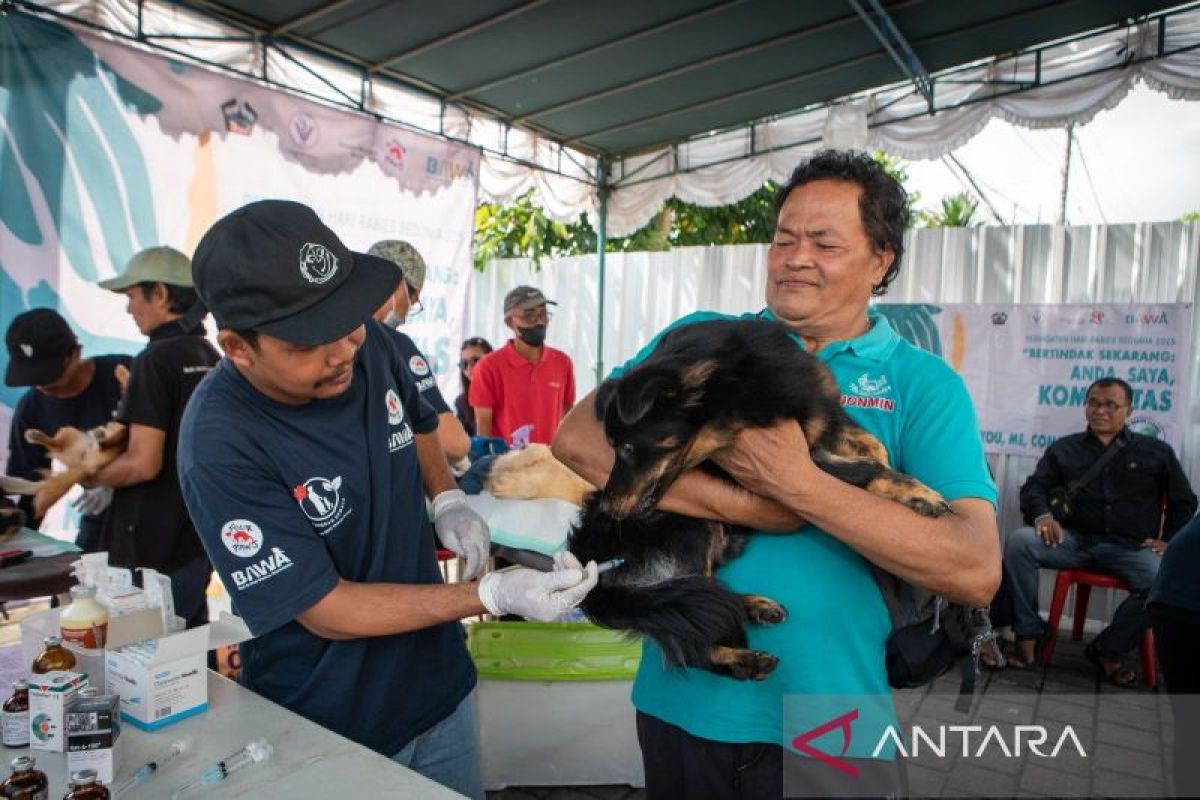 Pemkab Bangli Bali vaksinasi anjing dan kucing cegah rabies