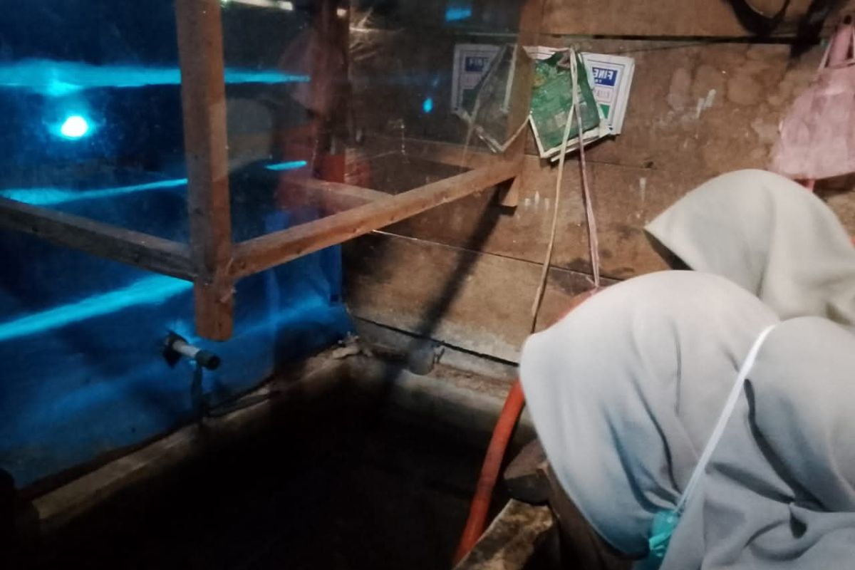 Dinkes Pasaman Barat lakukan sejumlah upaya atasi DBD