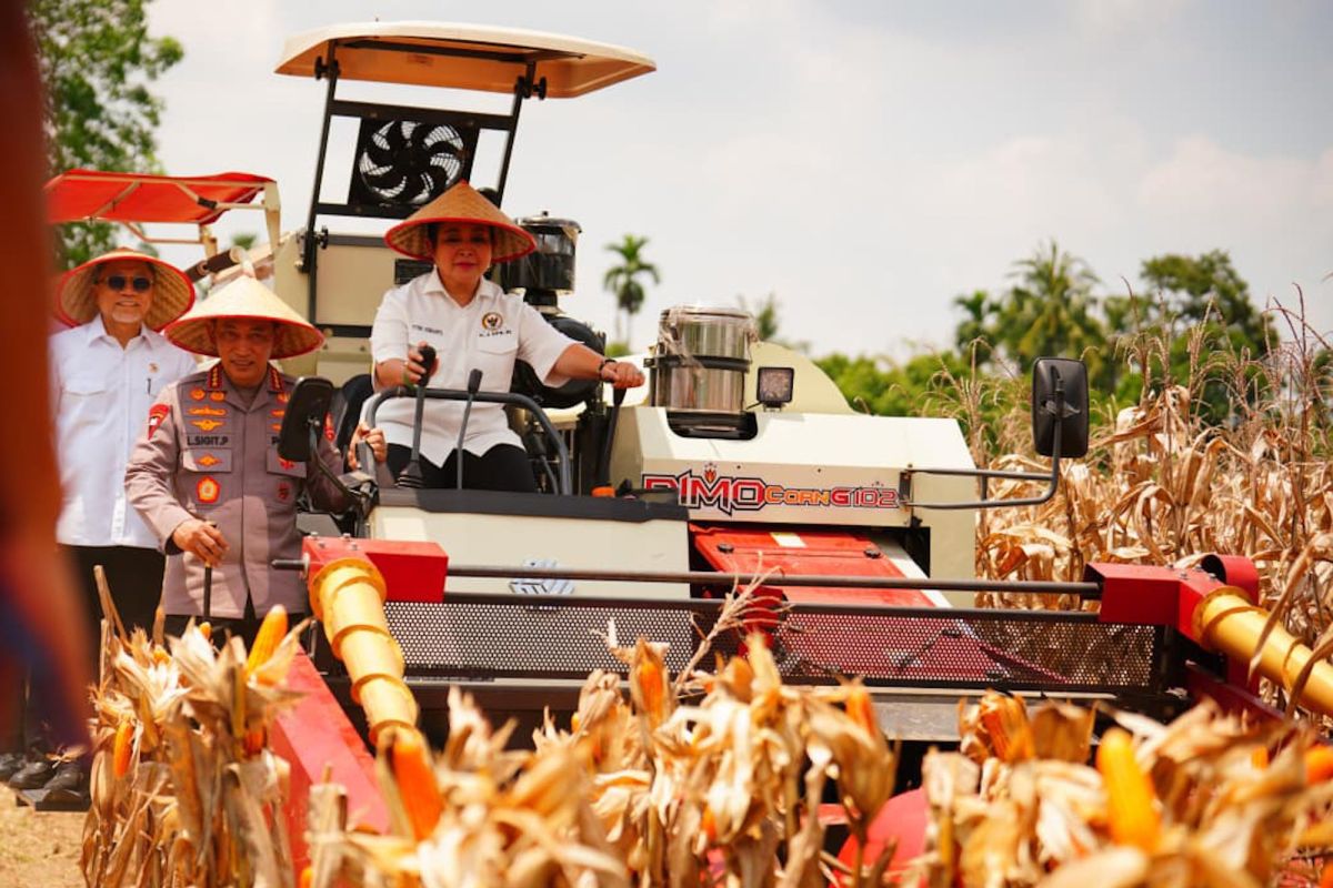 Polri distributes 1,765 tons of corn to Bulog to support food security