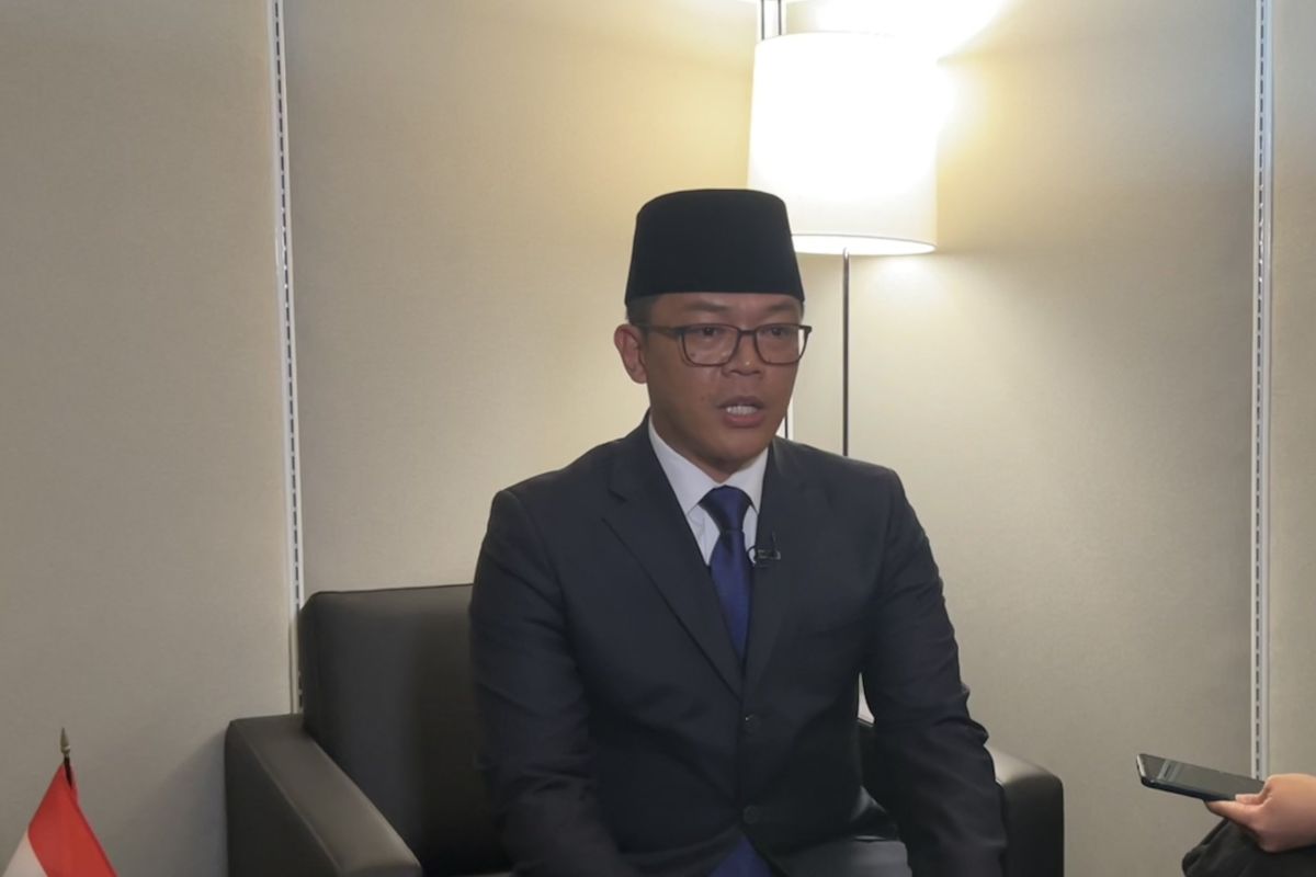Indonesian FM urges BRICS to push global financial reform for SDGs