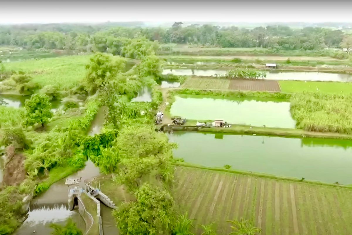 Bridging inequality: The new hope for agrarian reform in Indonesia