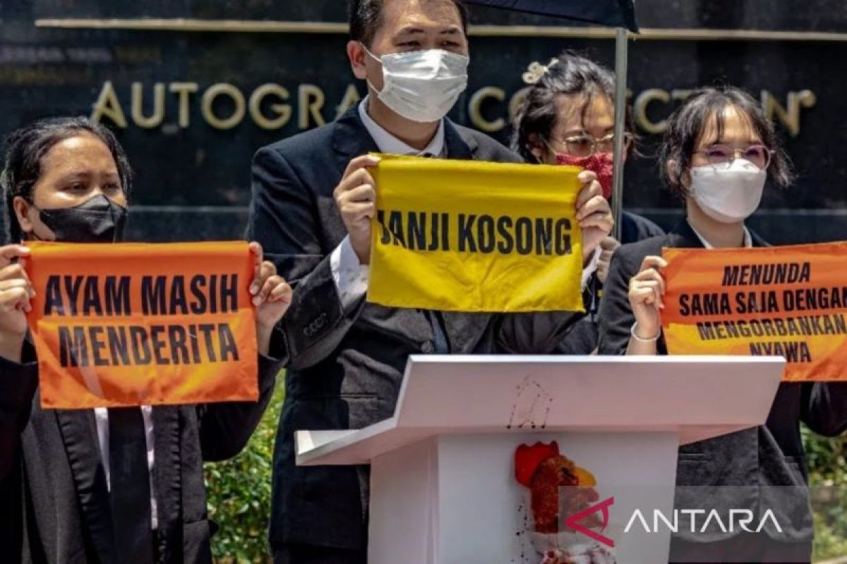 Aktivis desak Marriott tuntaskan komitmen telur bebas kandang di Asia