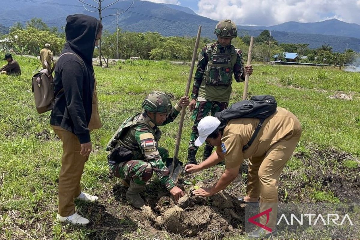 Satgas Yonif 521/DY dan Pemkab Mamberamo Tengah sinergi tanam pohon jaga alam