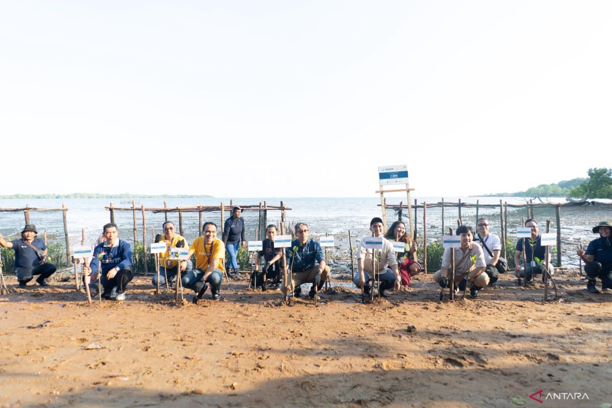 Perusahaan telekomunikasi tanam mangrove jaga keseimbangkan lingkungan