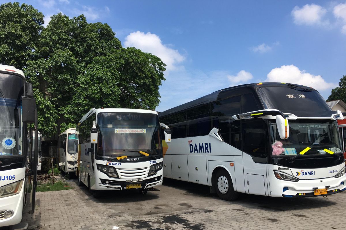 DAMRI sediakan 10 unit bus antar jemput ke Sirkuit Mandalika Lombok