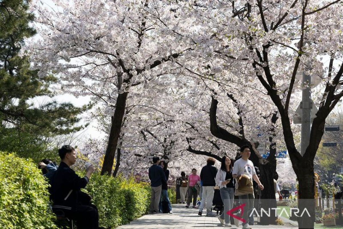 Korsel akan hapus iklan palsu lowongan kerja di Asia Tenggara