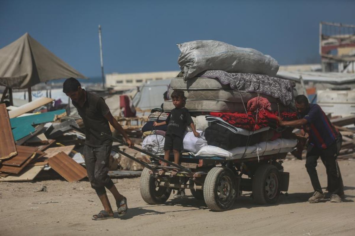 Konvoi Kemanusiaan Mesir Melaju ke Gaza, Bawa Harapan bagi Warga Terkepung