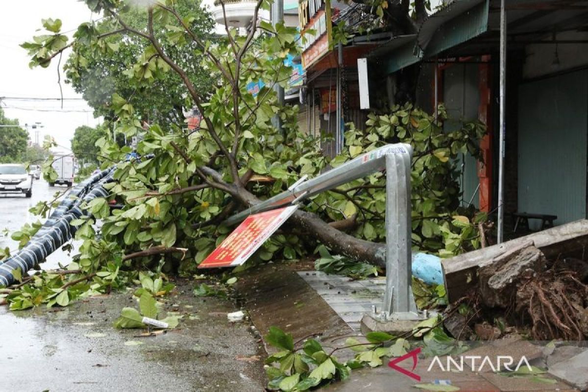 Korban meninggal akibat topan Bualoi di Vietnam melonjak jadi 26