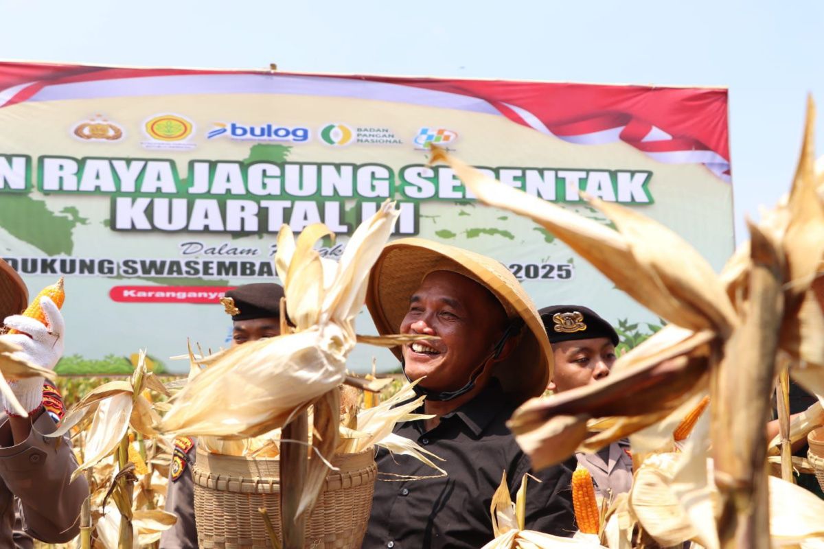 Ketua DPRD Jateng Sumanto ikut panen raya jagung di Karanganyar