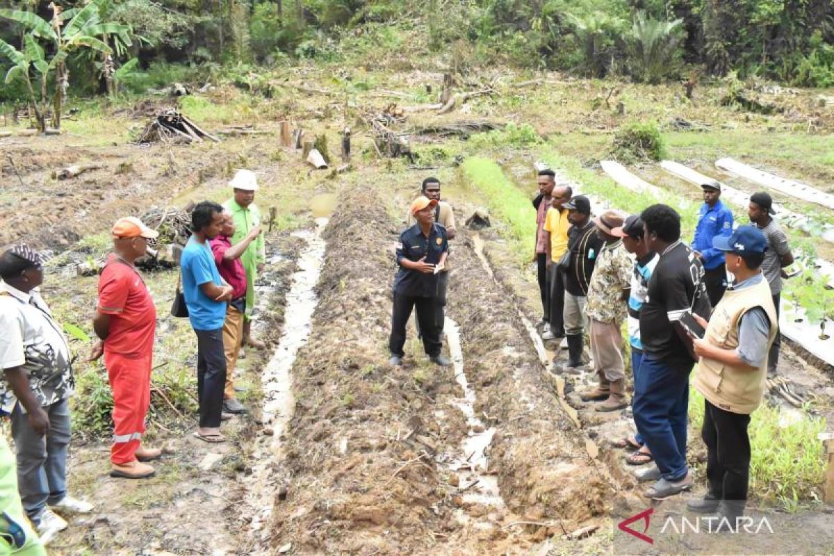SKK Migas-Petrogas latih petani dukung peningkatan ekonomi masyarakat