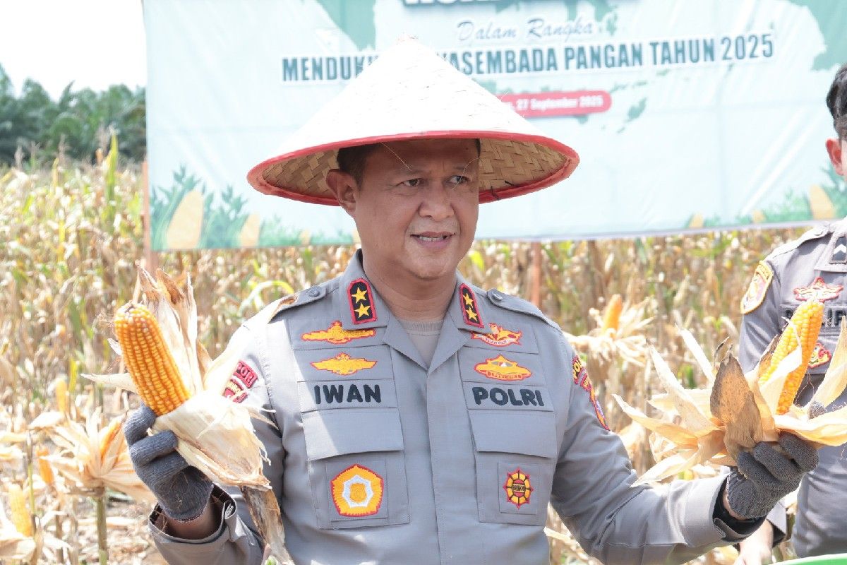 Polda Kalteng sukses panen 131,92 ton jagung