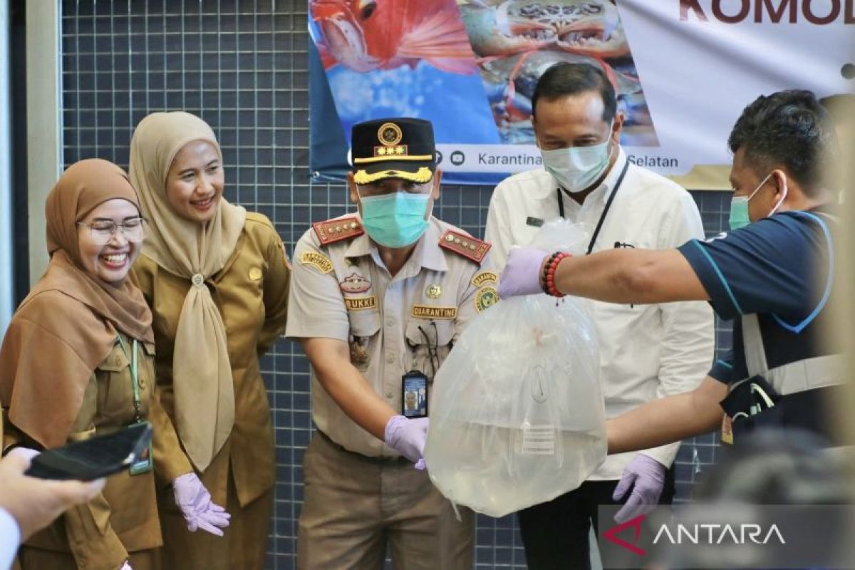 Karantina Kalsel sertifikasi arwana-kepiting diekspor ke 3 negara Asia