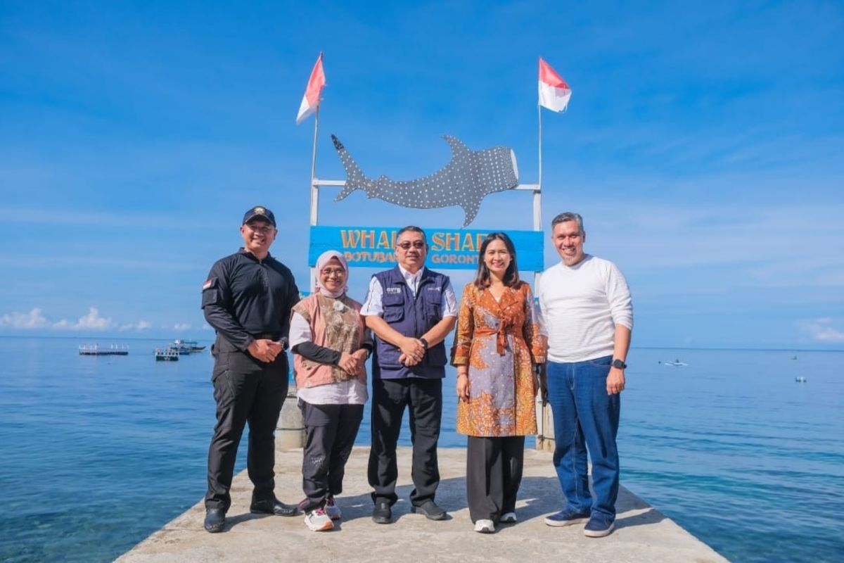 Kementerian Pariwisata: Jaga kelestarian hiu paus Gorontalo