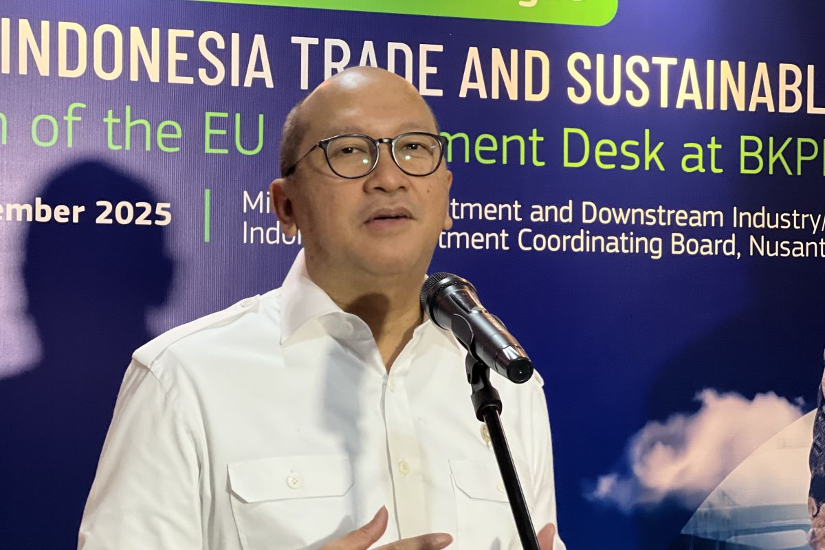 Danantara: Freeport setuju lepas 12 persen saham ke Indonesia