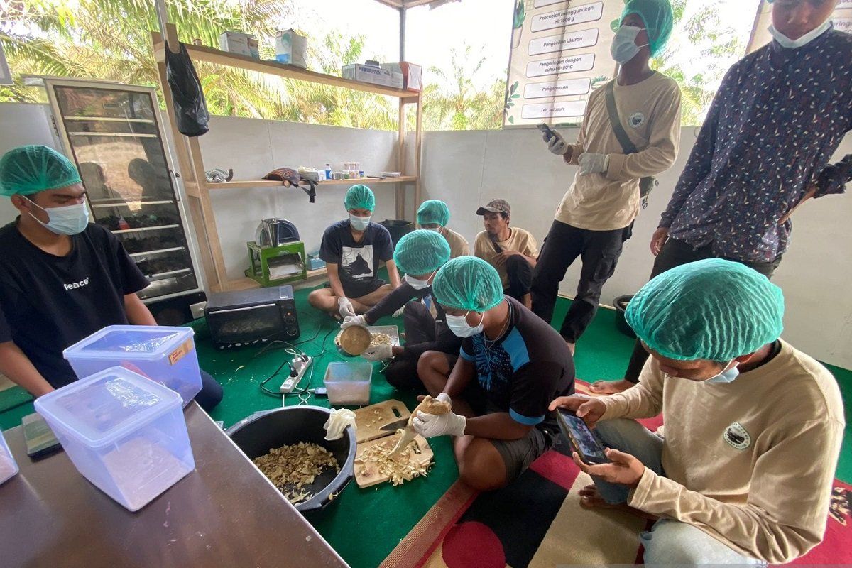 Universitas Jambi beri pendampingan perkuat ekonomi, sosial dan pendidikan SAD