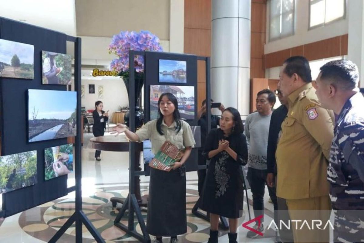 Jubir Alvian Mato: Gubernur Gusnar canangkan perlindungan mangrove