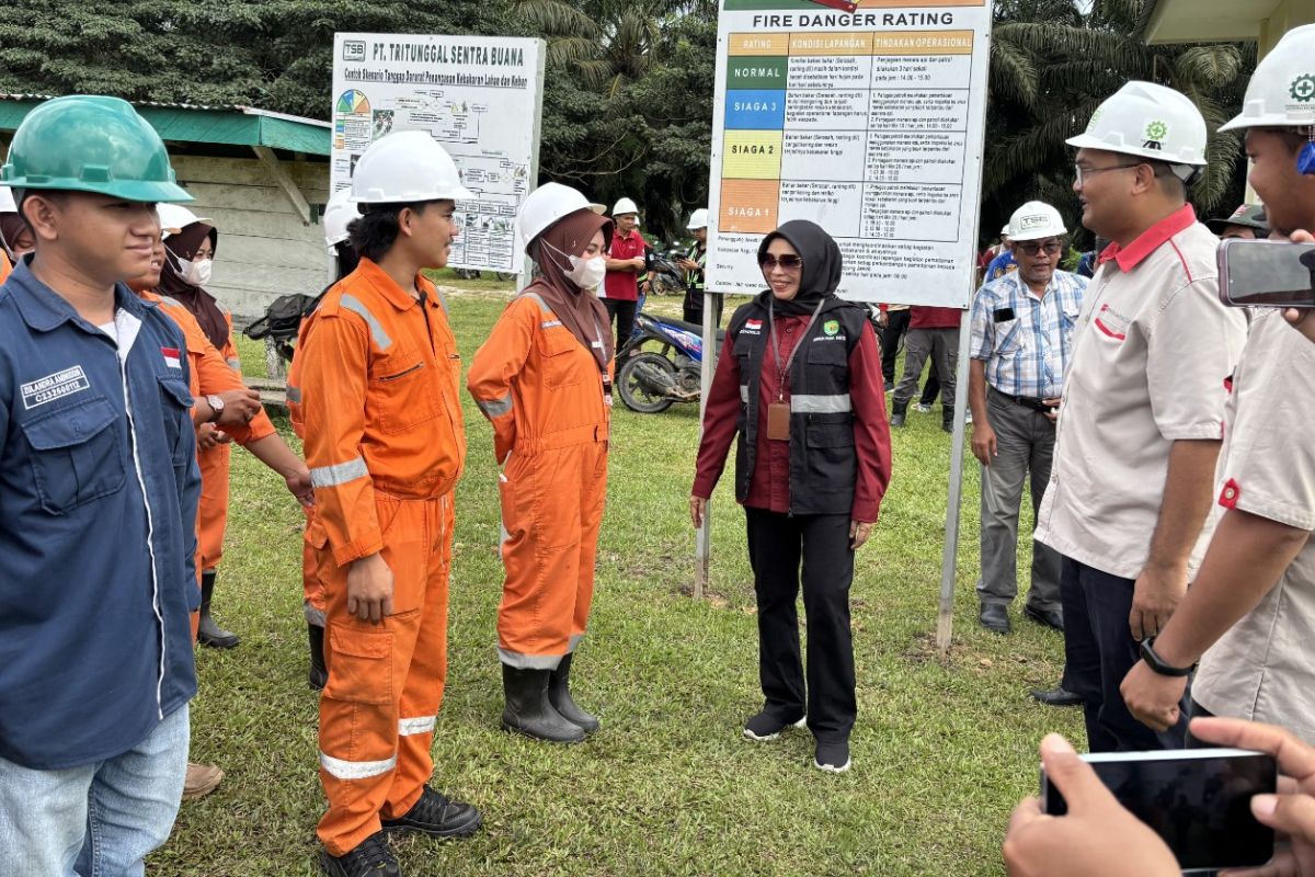 Disbun Kaltim gandeng banyak pihak cegah  kebakaran lahan dan kebun