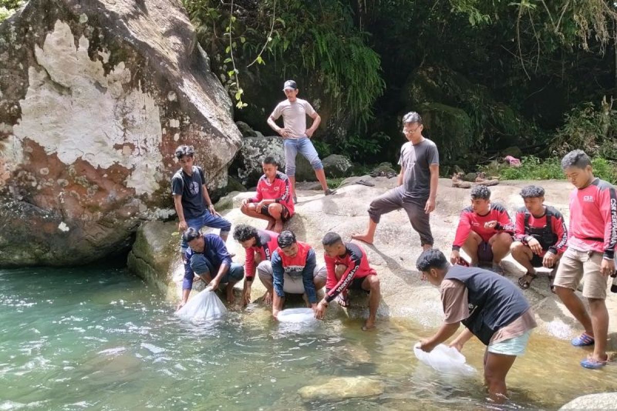Pertamina Teluk Kabung tebar 5.000 bibit ikan semah