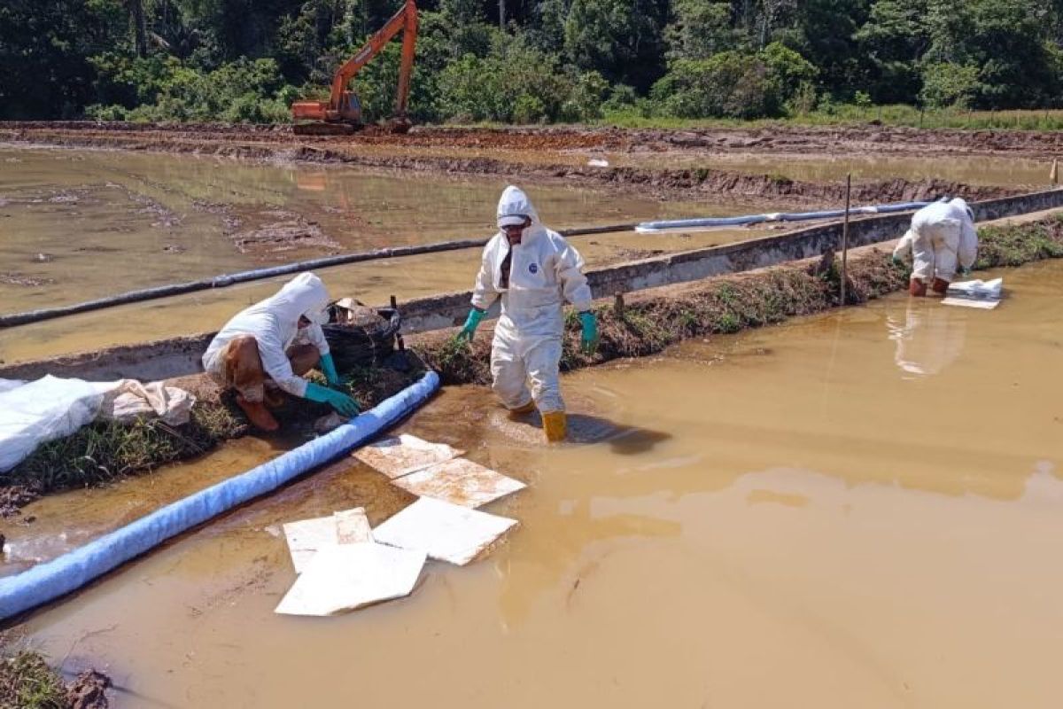 Investigasi independen di Towuti: Kebocoran pipa minyak dipicu faktor geologi