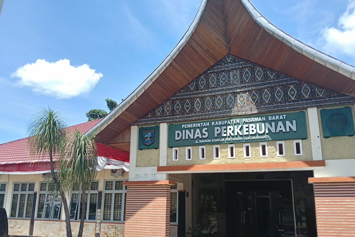 Pemkab: Stok vaksin penyakit mulut dan kuku tersedia di Pasaman Barat