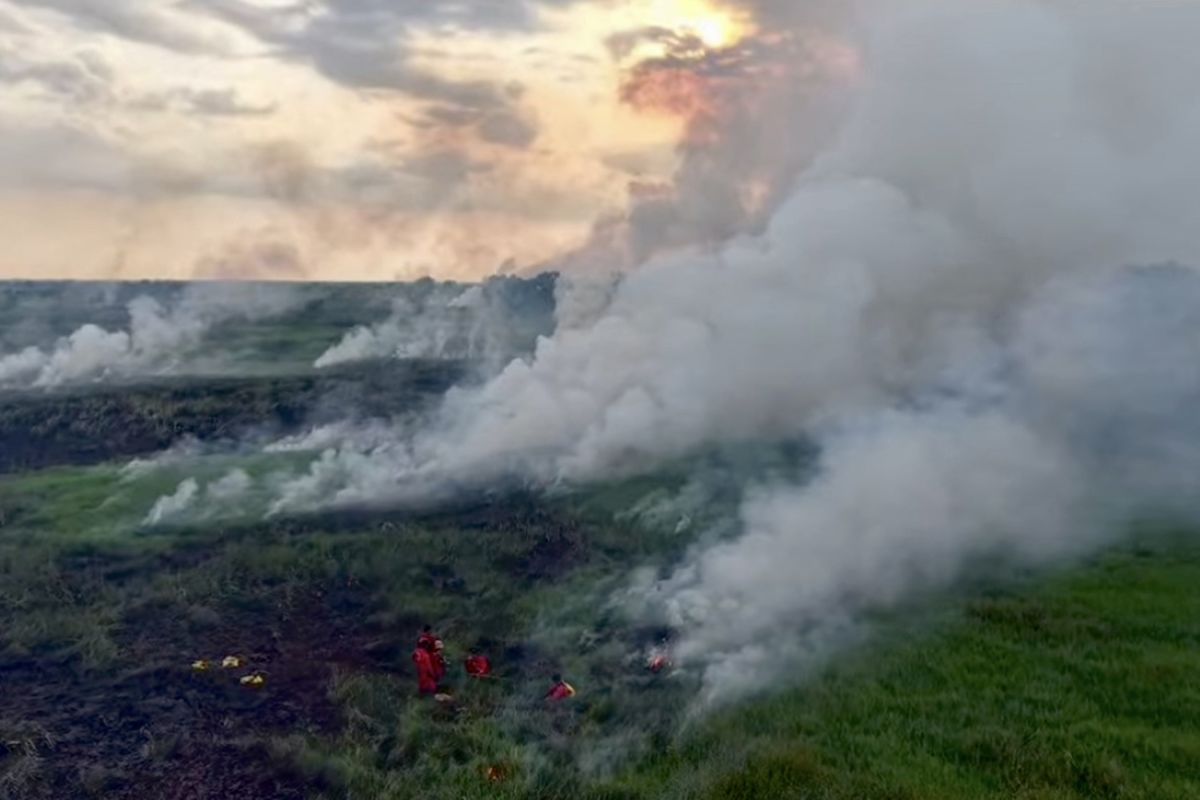 South Kalimantan lifts emergency alert status for forest, land fires