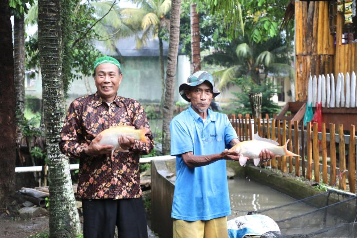Tingkatkan perekonomian masyarakat, kampung reforma agraria Desa Bandung kembangkan pembibitan dan budidaya ikan