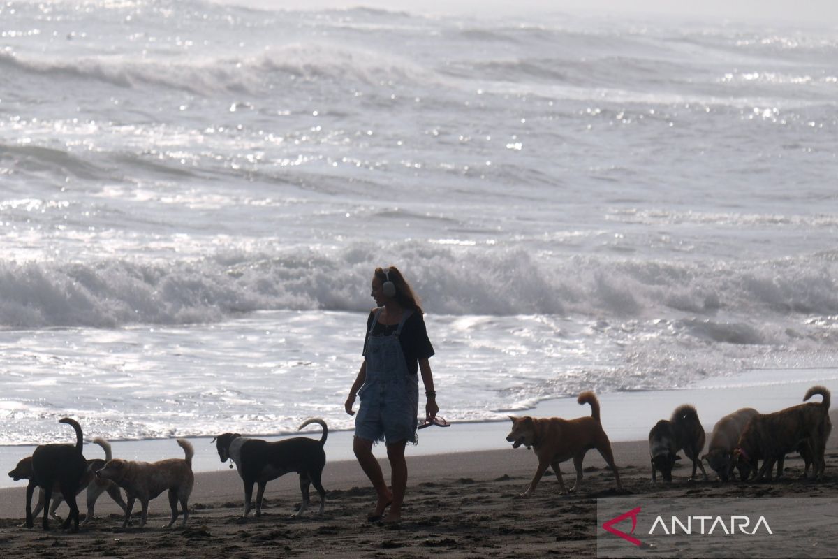 5 hewan yang haram dipelihara menurut syariat Islam & alasannya