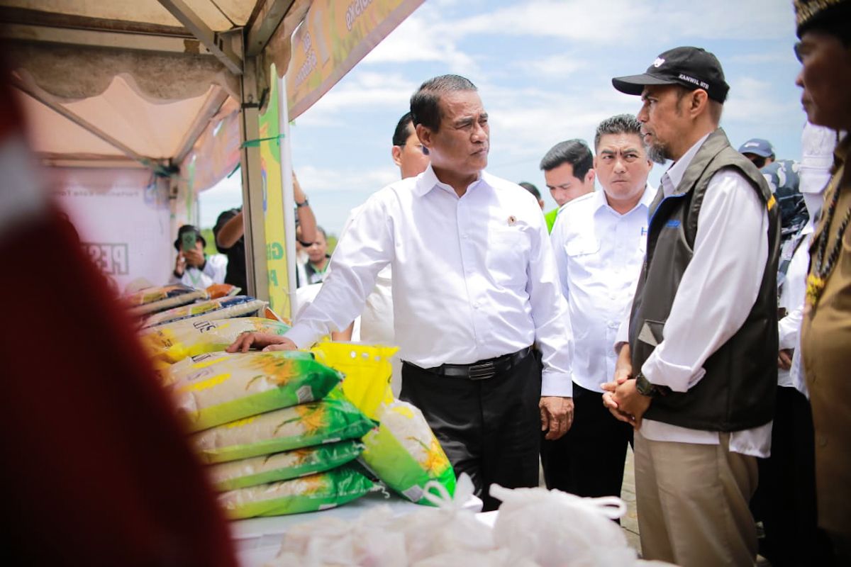 Mentan mendorong Kaltara jadi lumbung pangan perbatasan-pintu ekspor