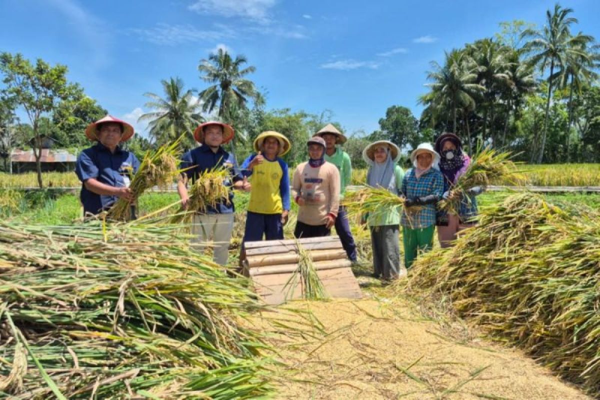 Harga sesuai, Bulog Rejang Lebong siap beli gabah petani Rp6.500/kg