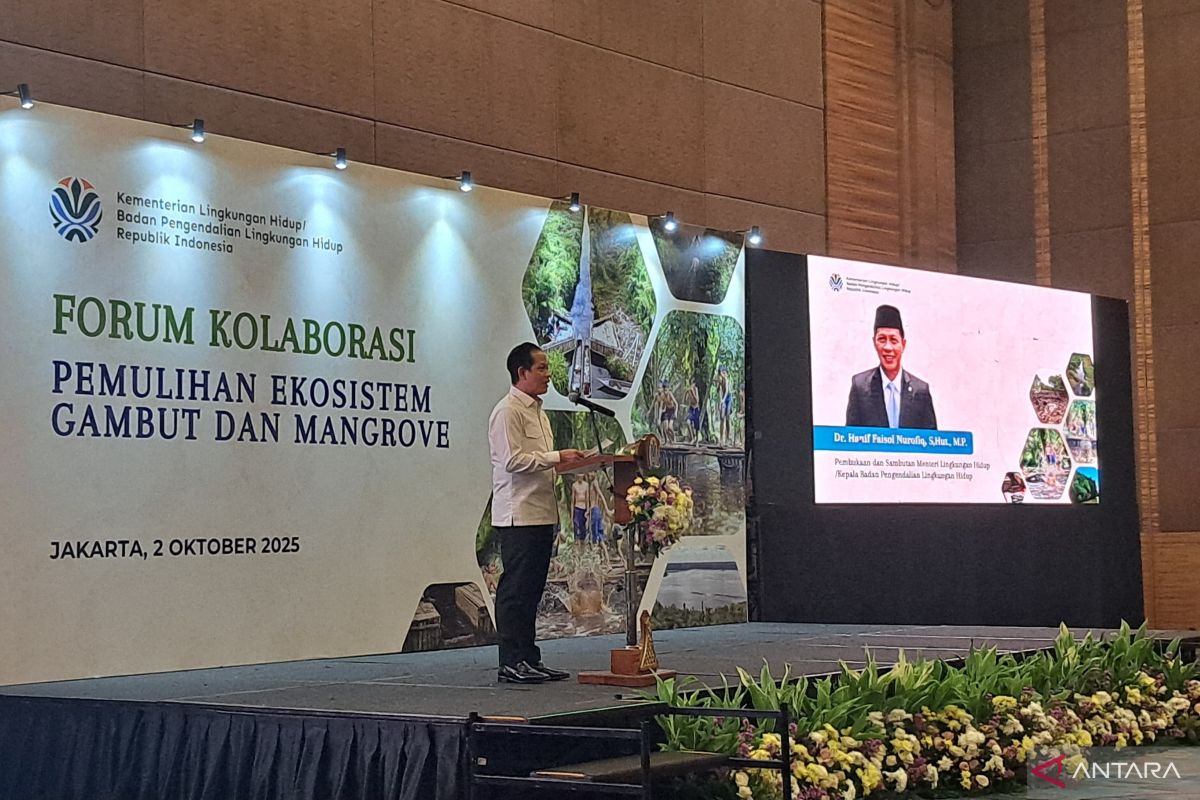 Govt to recognize companies for peatland restoration