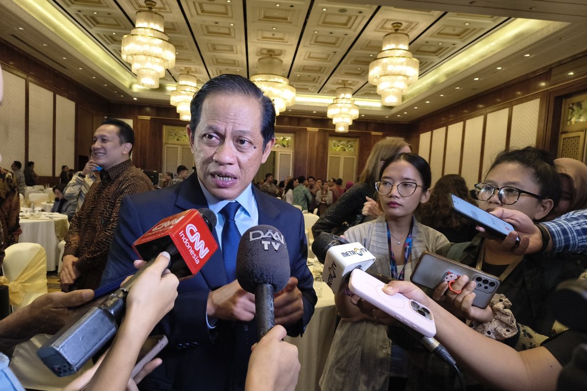 Clove export plant free of radioactive contamination: Minister
