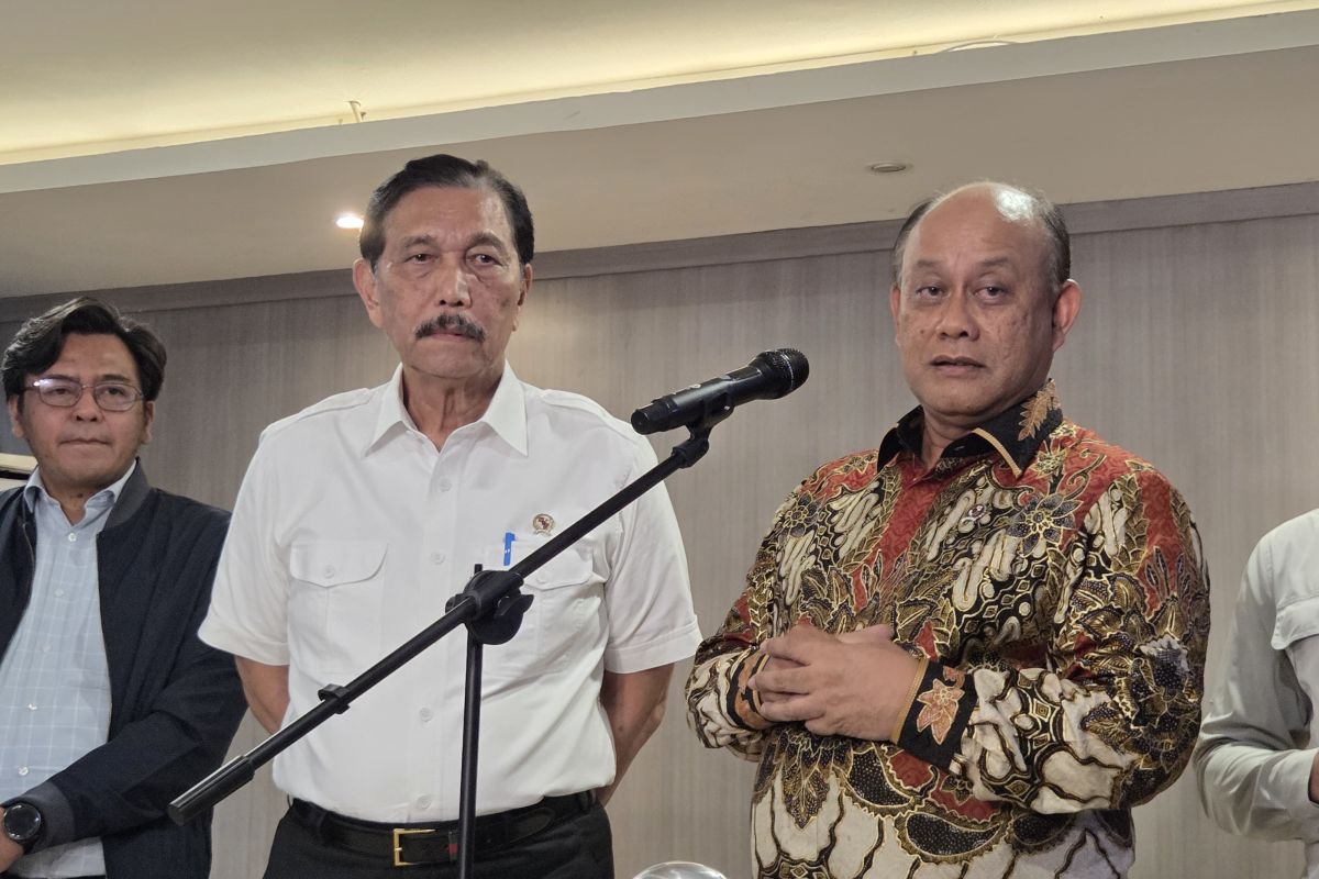 Luhut defends free meal program despite mass food poisoning cases