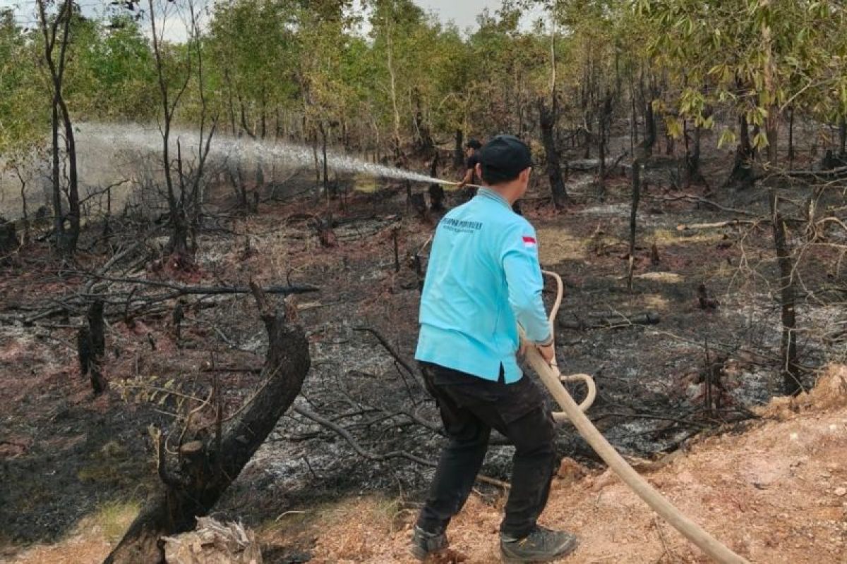 Dinsos Kalsel tetap siaga karhutla usai cabut status siaga darurat