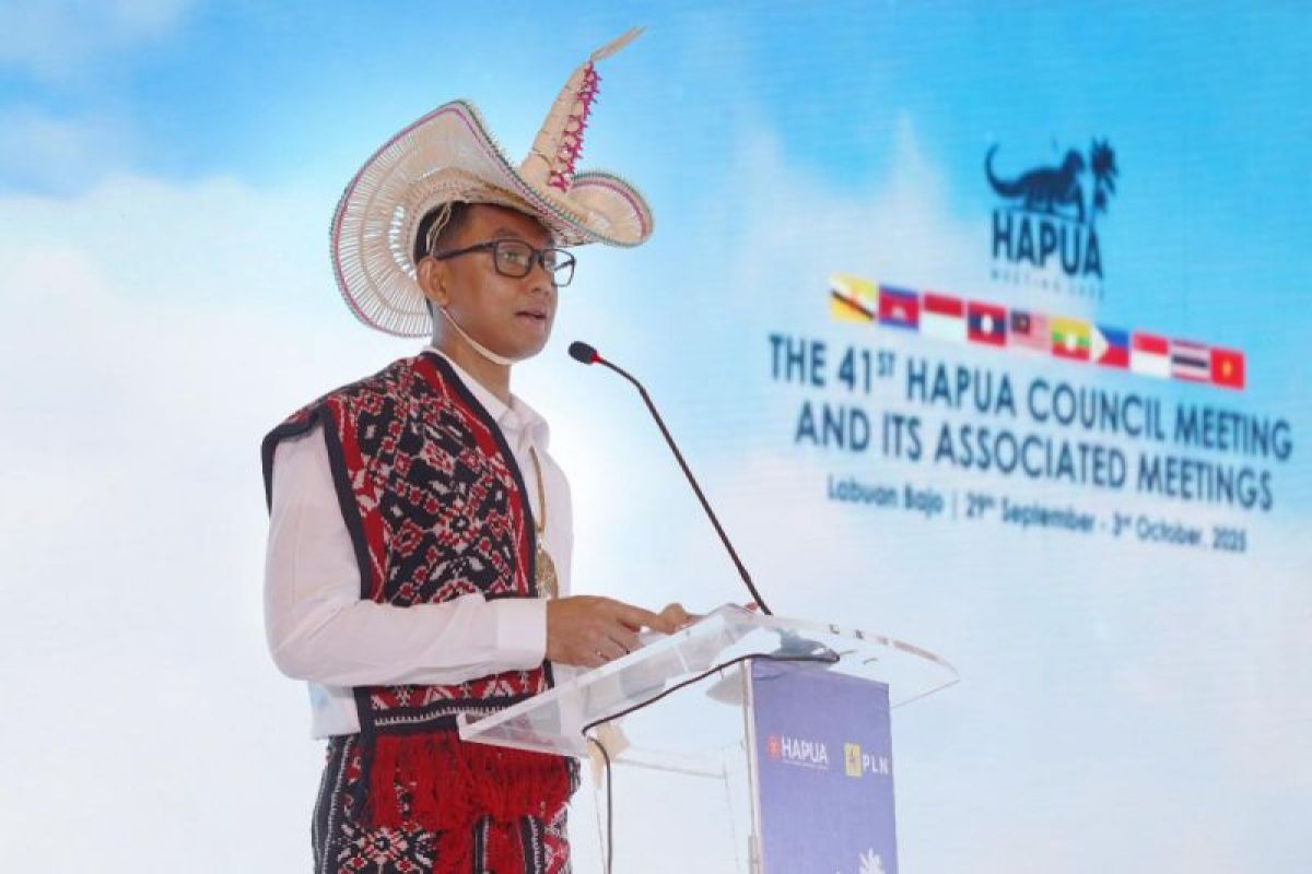 PLN dorong interkoneksi ASEAN Power Grid untuk akselerasi transisi energi bersih