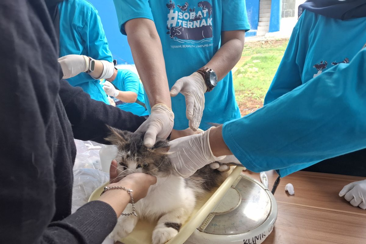 Disnakkeswan Lampung: Keberadaan Rumah Sakit Hewan dapat dukung layanan modern