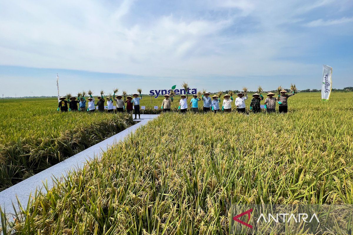 Kemarin, BBM subsidi kapal penumpang hingga kebijakan harga gabah