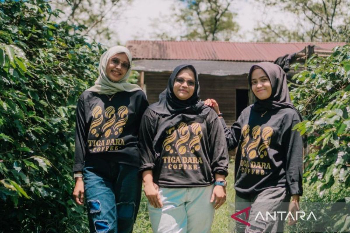 Dari luka menjadi asa: Tiga Dara Kopi Sipirok tembus pasar Jepang