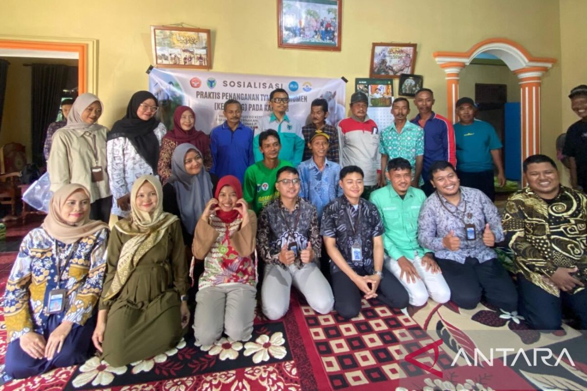 Universitas Jambi edukasi peternak Batang Hari atasi penyakit pada kambing