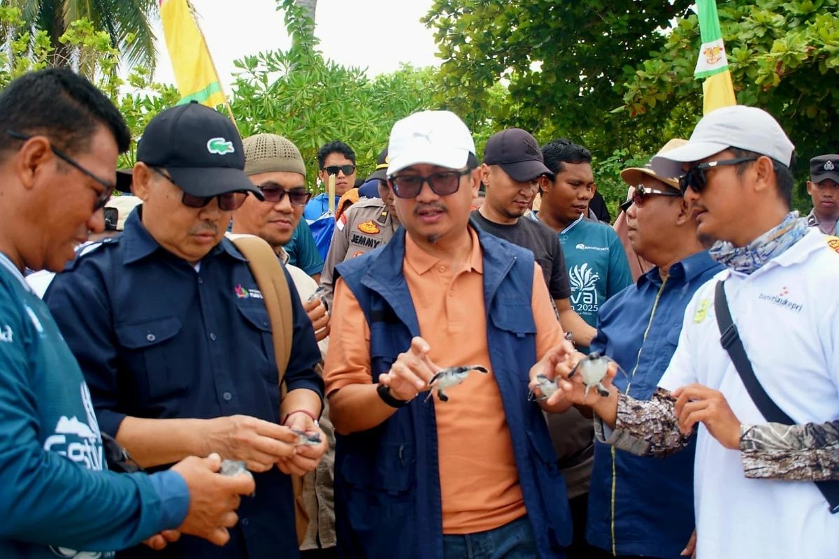 Pemdes Sepempang Natuna  lepasliarkan 150 ekor tukik di pulau terluar