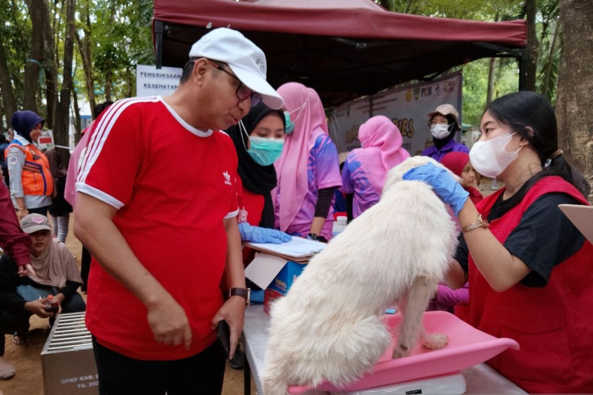 Maros gelar vaksinasi gratis untuk tekan rabies