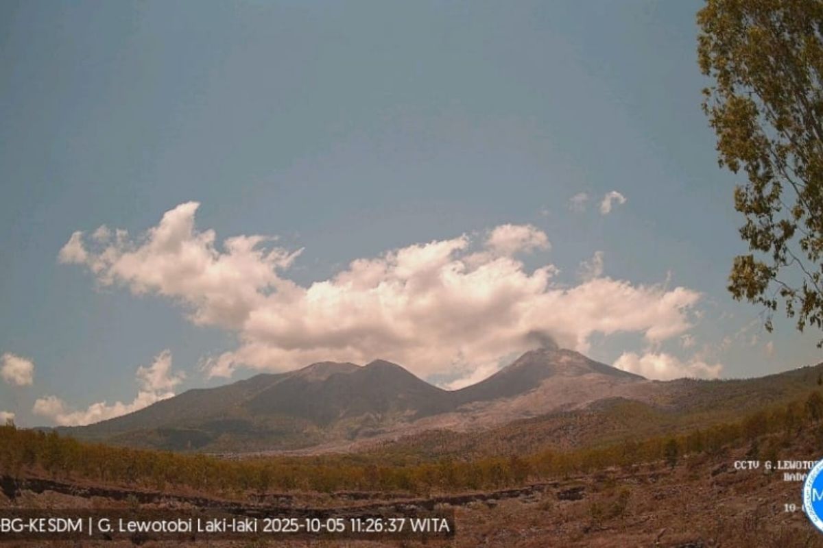 Gunung Lewotobi NTT tiga kali erupsi sepanjang hari Minggu