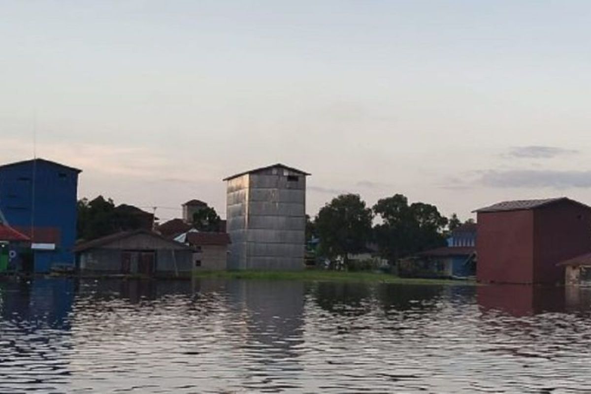 Pemkot Palangka Raya intensifkan pengawasan sektor perikanan