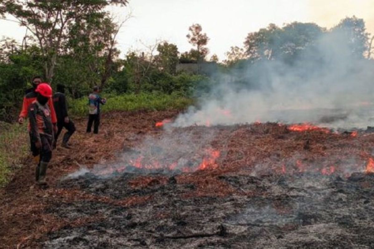 BPBD Kota Palangka Raya ajak warga tak buka lahan dengan dibakar