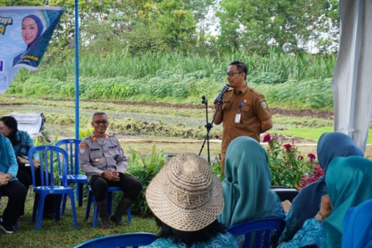 DPKP Palangka Raya perkuat produksi Lokal untuk kendalikan inflasi