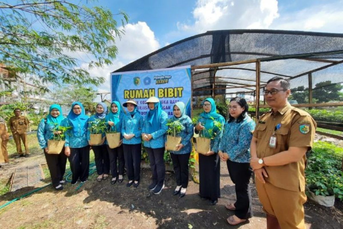 TP PKK Palangka Raya-DPKP kerja sama pengembangan rumah pembibitan
